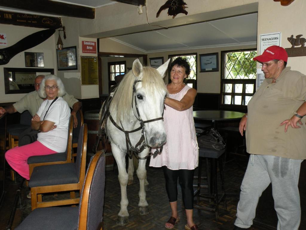 The Historic Pig And Whistle Inn Bathurst Luaran gambar